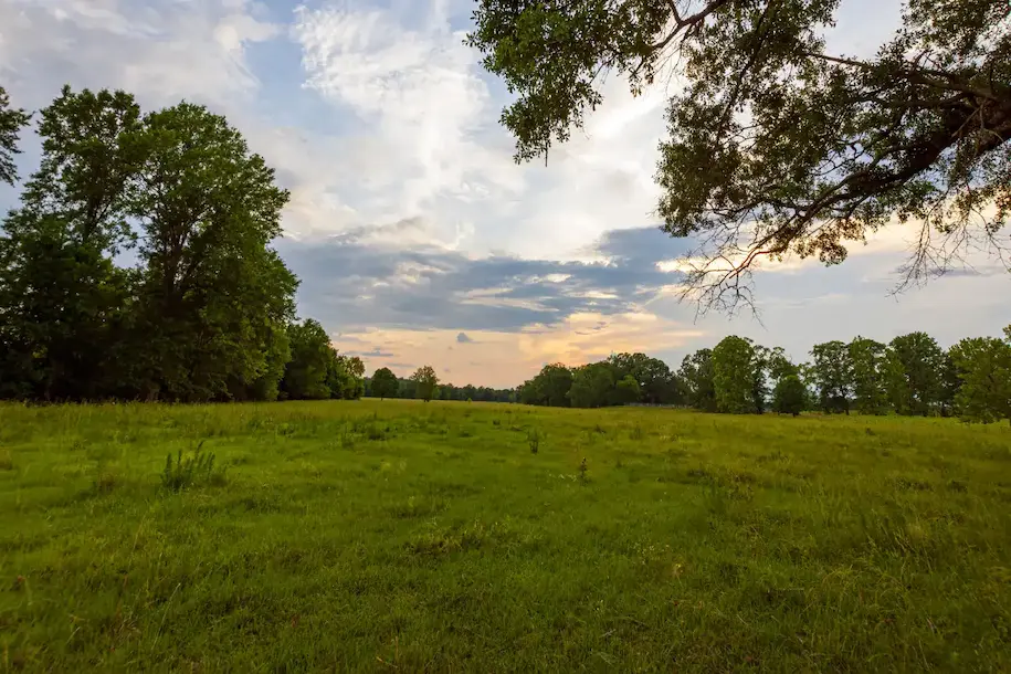 Buying Ranch Land in Texas