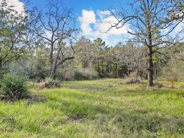 A serene field featuring lush grass and scattered trees, ideal for potential development or recreational use.