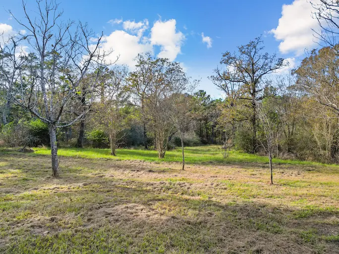 A spacious field featuring lush grass and trees in the background